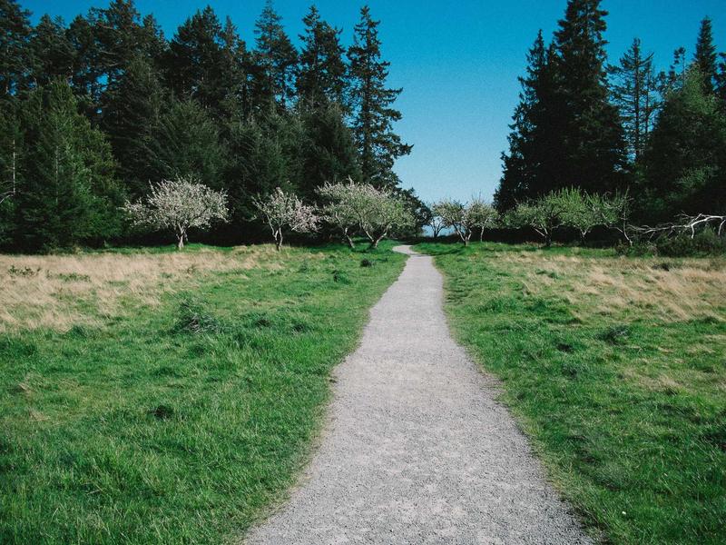 蝴蝶效应<br>sybmuzg.cn 亚马逊蝴蝶扇翅